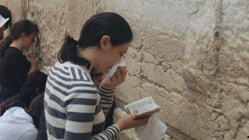 娱乐吃瓜君温婉